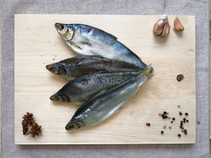 Кальмар палочки х/к: Пелядь вяленая